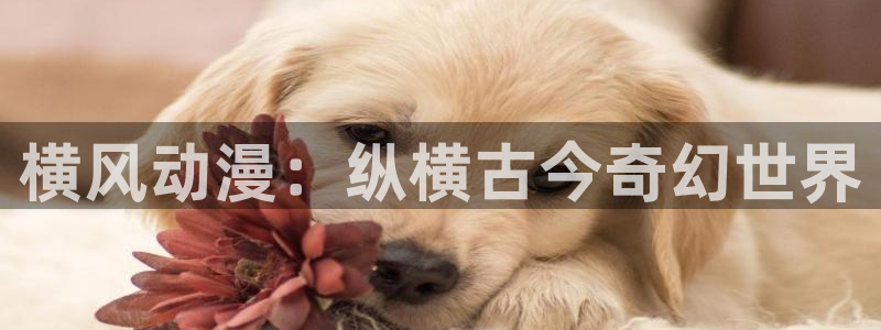 动漫之家漫画网